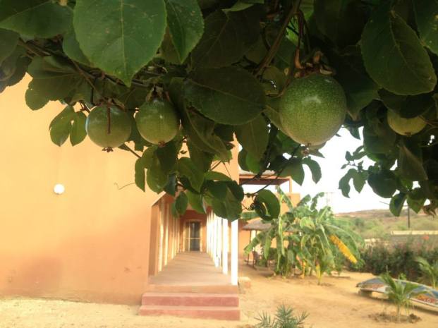 10920953_397581573742967_6655694888076532074_n