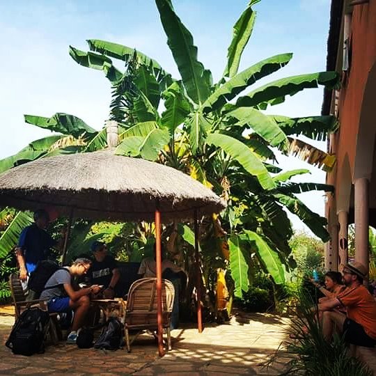 14026787_172120729878766_1812056980_n