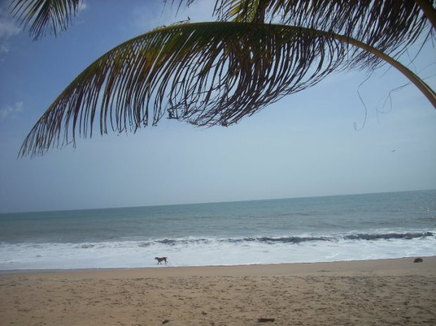 310252_10150212320917395_557497_n